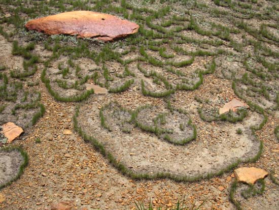Unique grass growth pattern with strange rock.